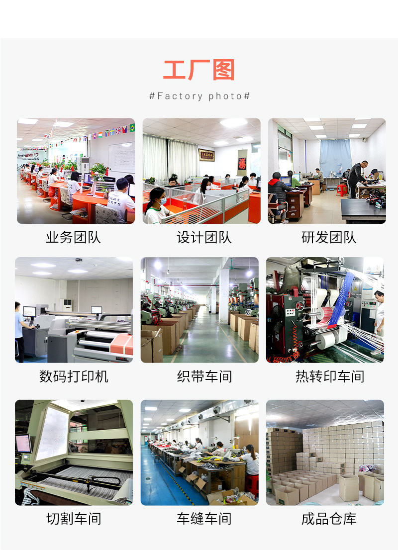 专业定制，宠爱随行 揭秘亚马逊渐变色尼龙宠物牵引套装